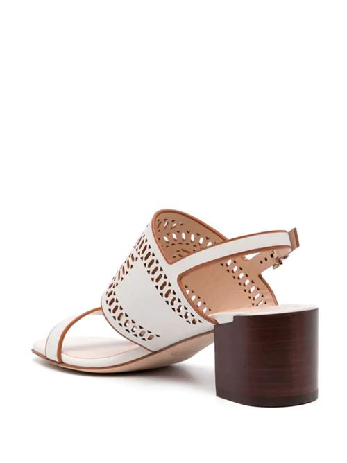 CATENA SANDALS TODS | XXW03L0IA30MIDB013B013